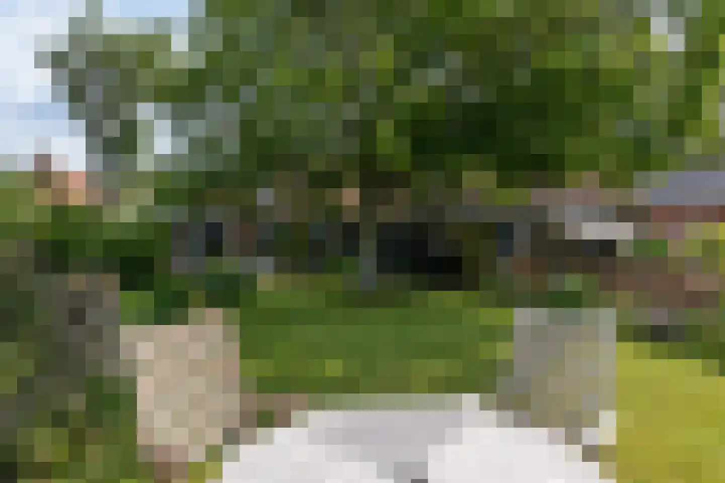 Reddingsboatreed 12 Moddergat thumbnail 4