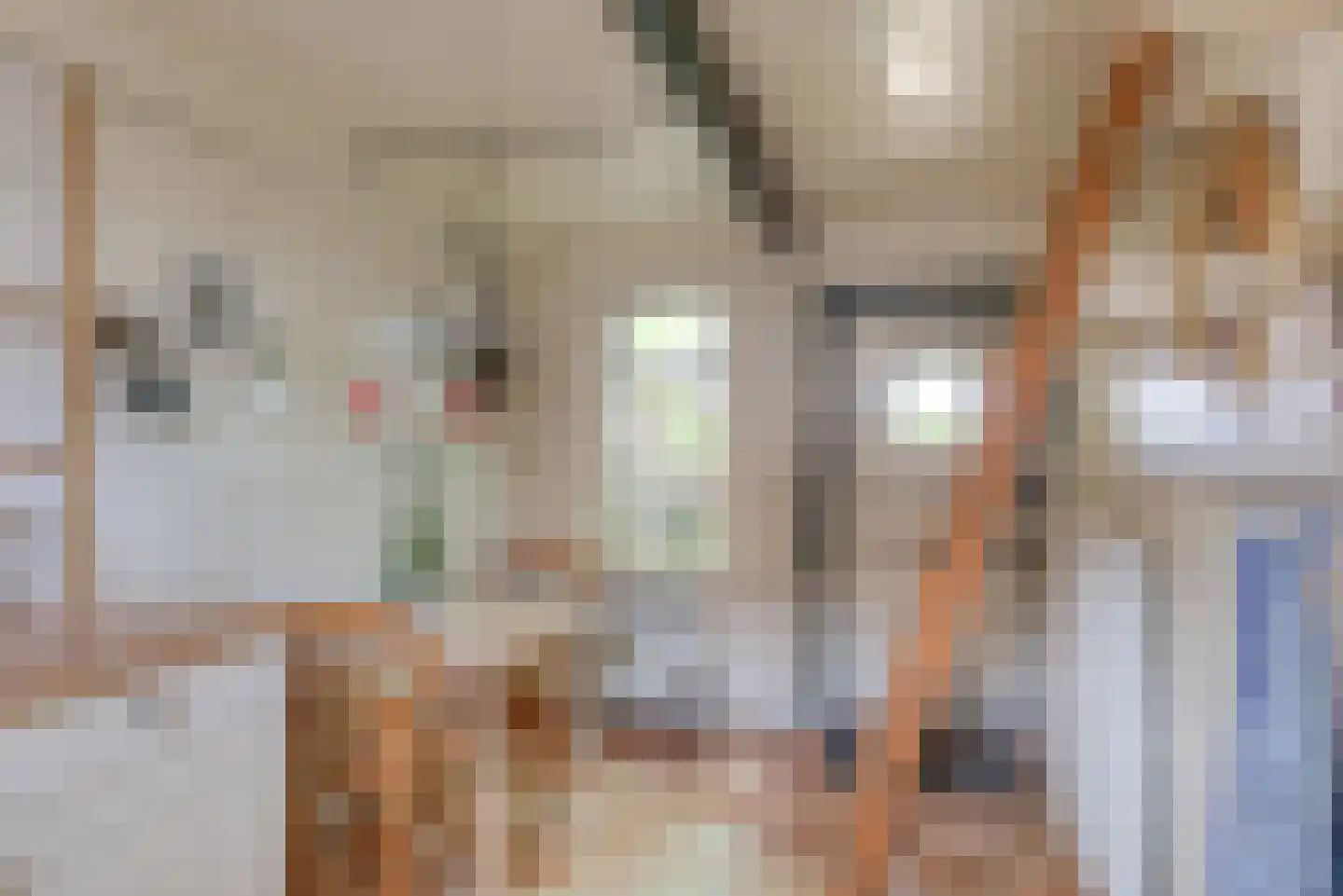Reddingsboatreed 12 Moddergat thumbnail 8