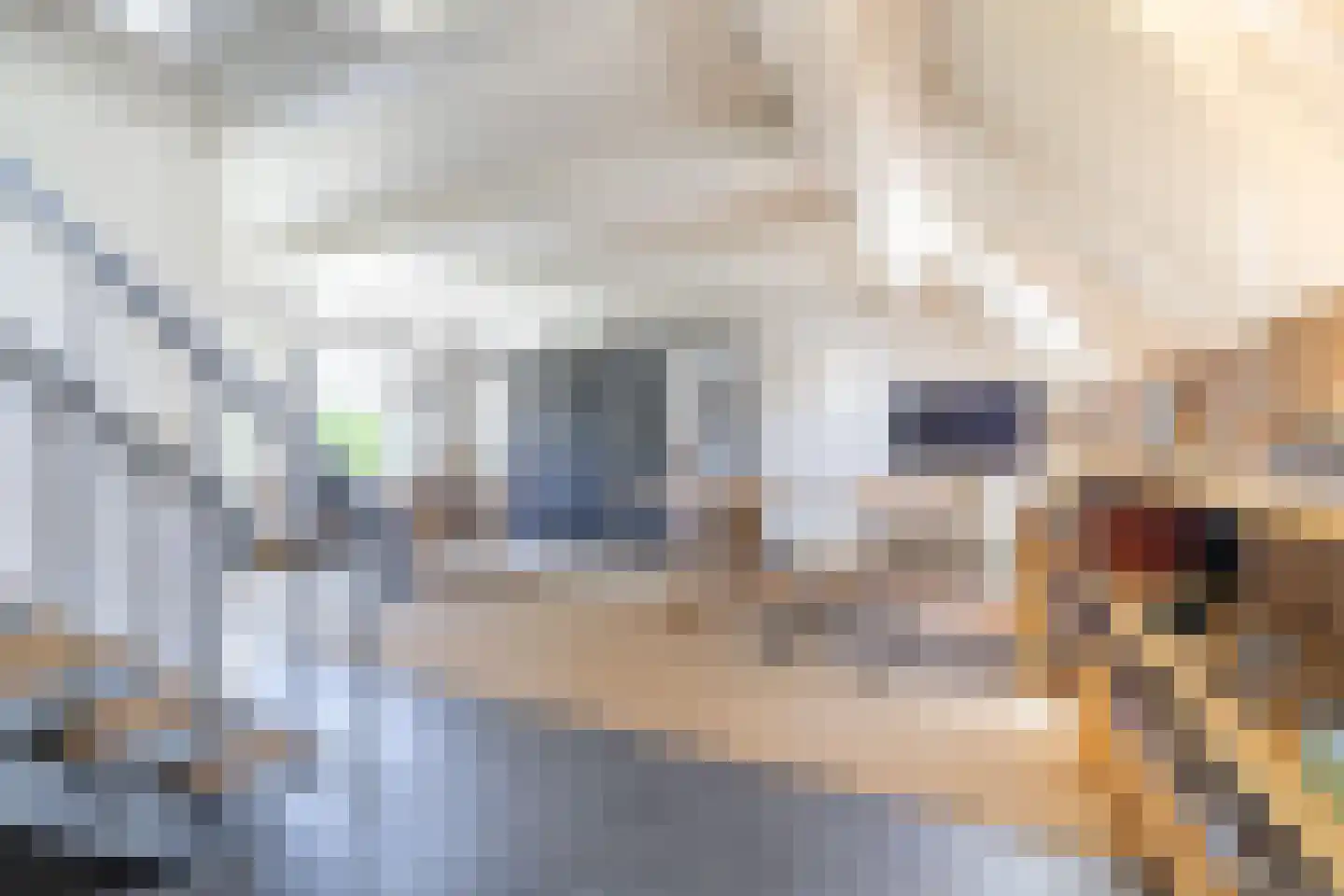 Reddingsboatreed 4 Moddergat thumbnail 27