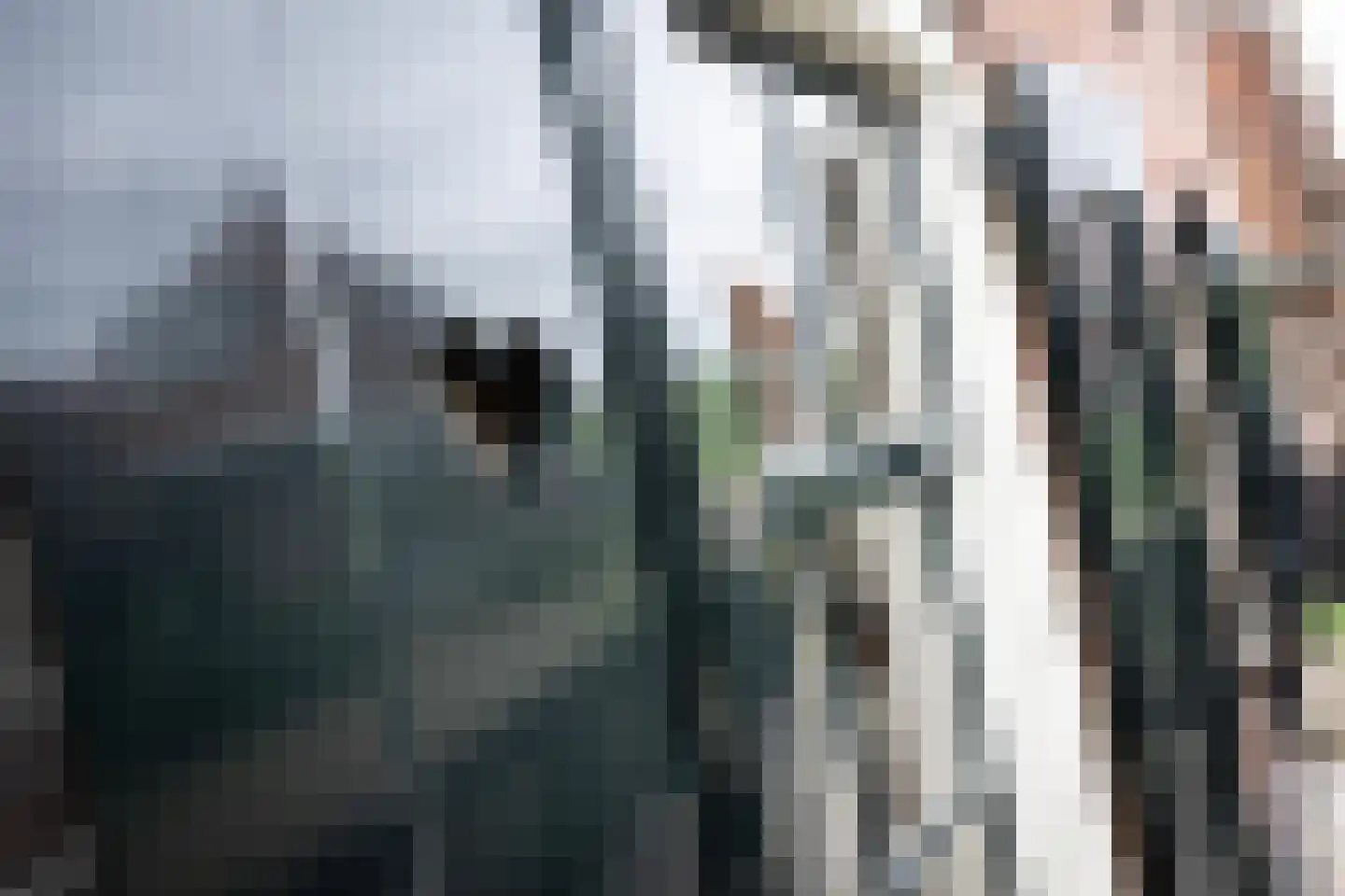 Reddingsboatreed 4 Moddergat thumbnail 38