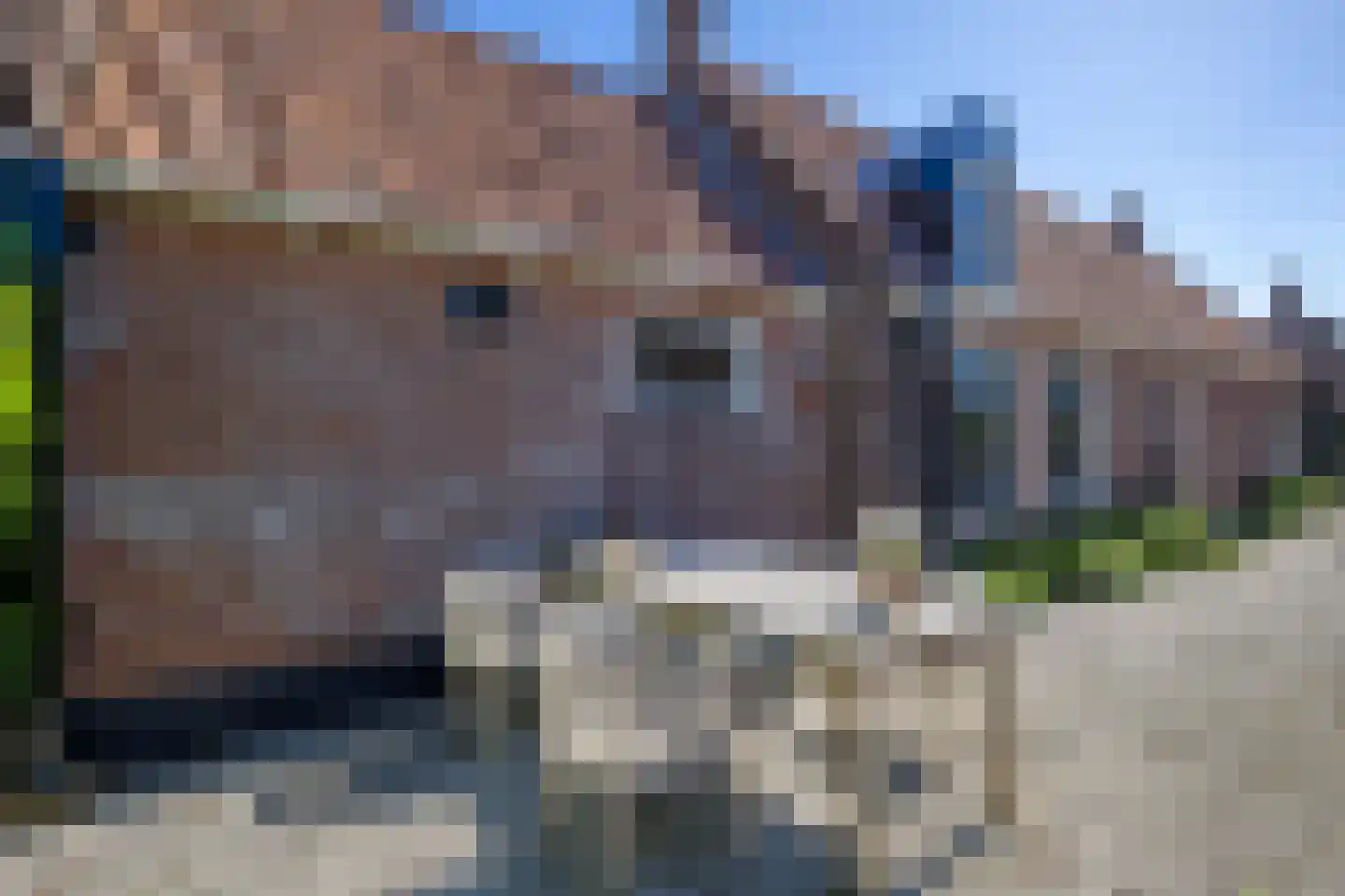 Reddingsboatreed 4 Moddergat thumbnail 41