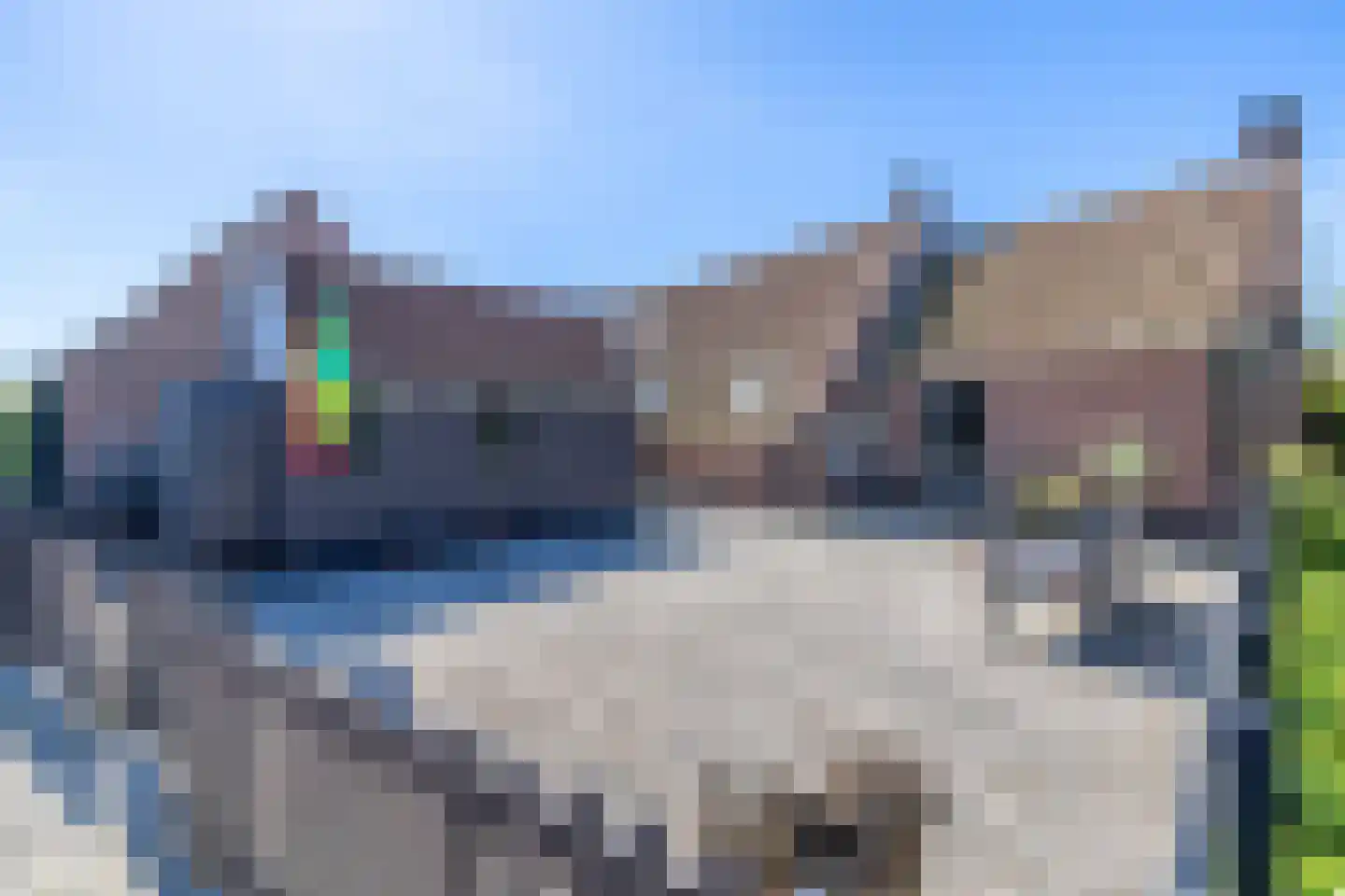 Reddingsboatreed 4 Moddergat thumbnail 44