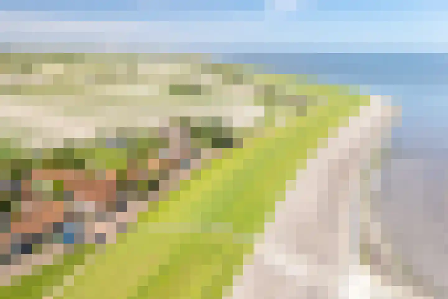 Reddingsboatreed 4 Moddergat thumbnail 5