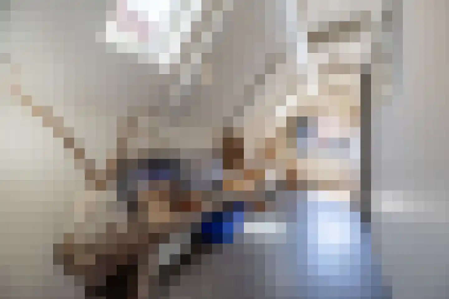 Reddingsboatreed 4 Moddergat thumbnail 7