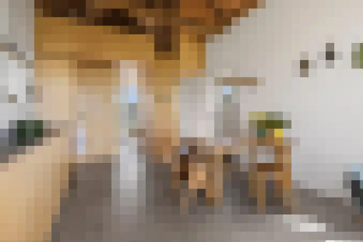 Reddingsboatreed 7 Moddergat thumbnail 18