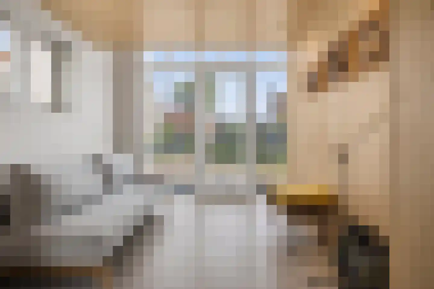 Reddingsboatreed 7 Moddergat thumbnail 19