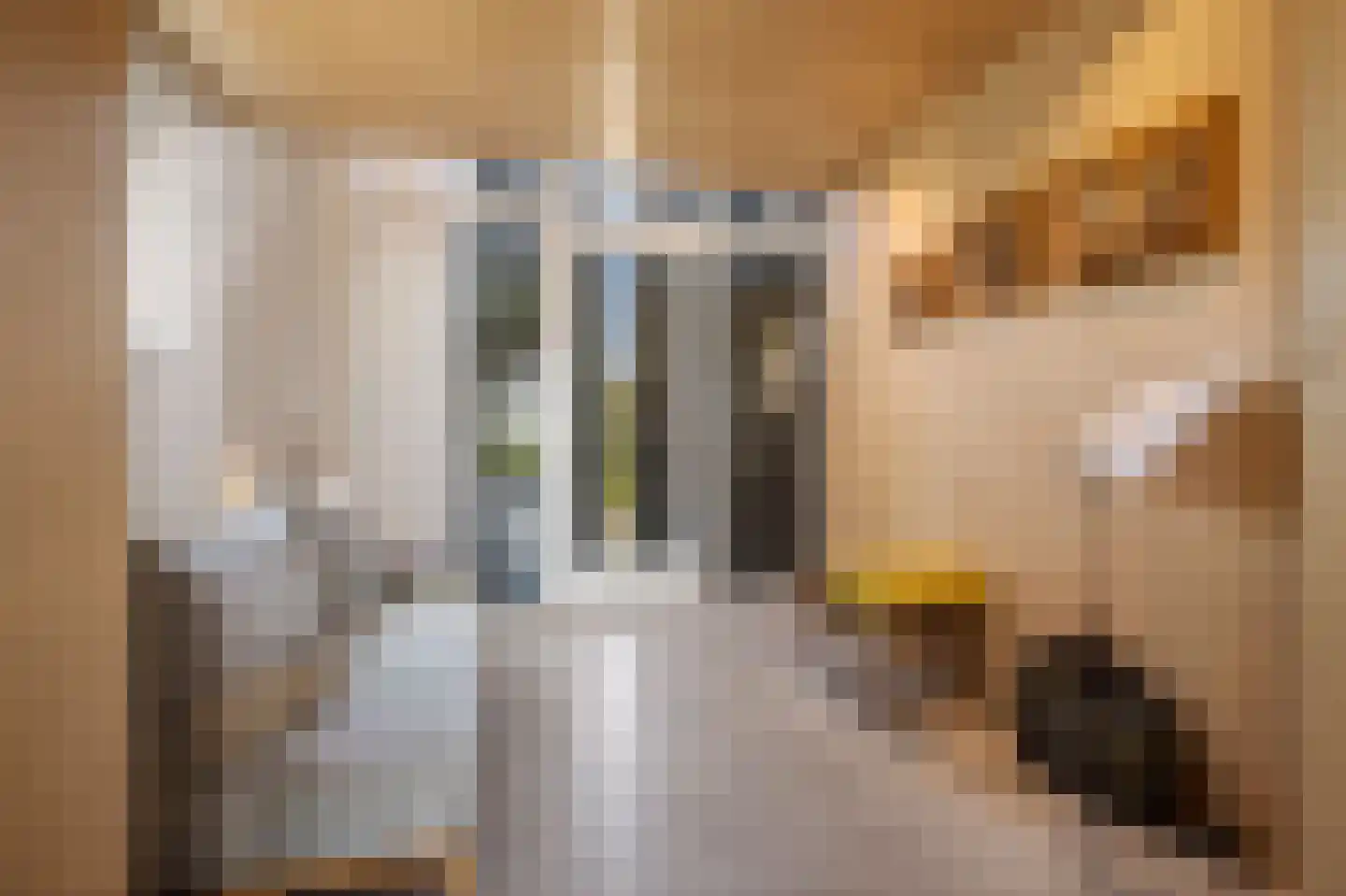 Reddingsboatreed 7 Moddergat thumbnail 20