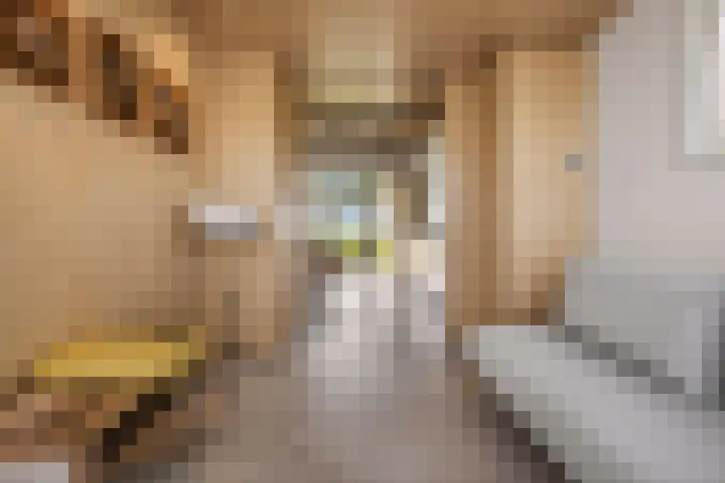 Reddingsboatreed 7 Moddergat thumbnail 21