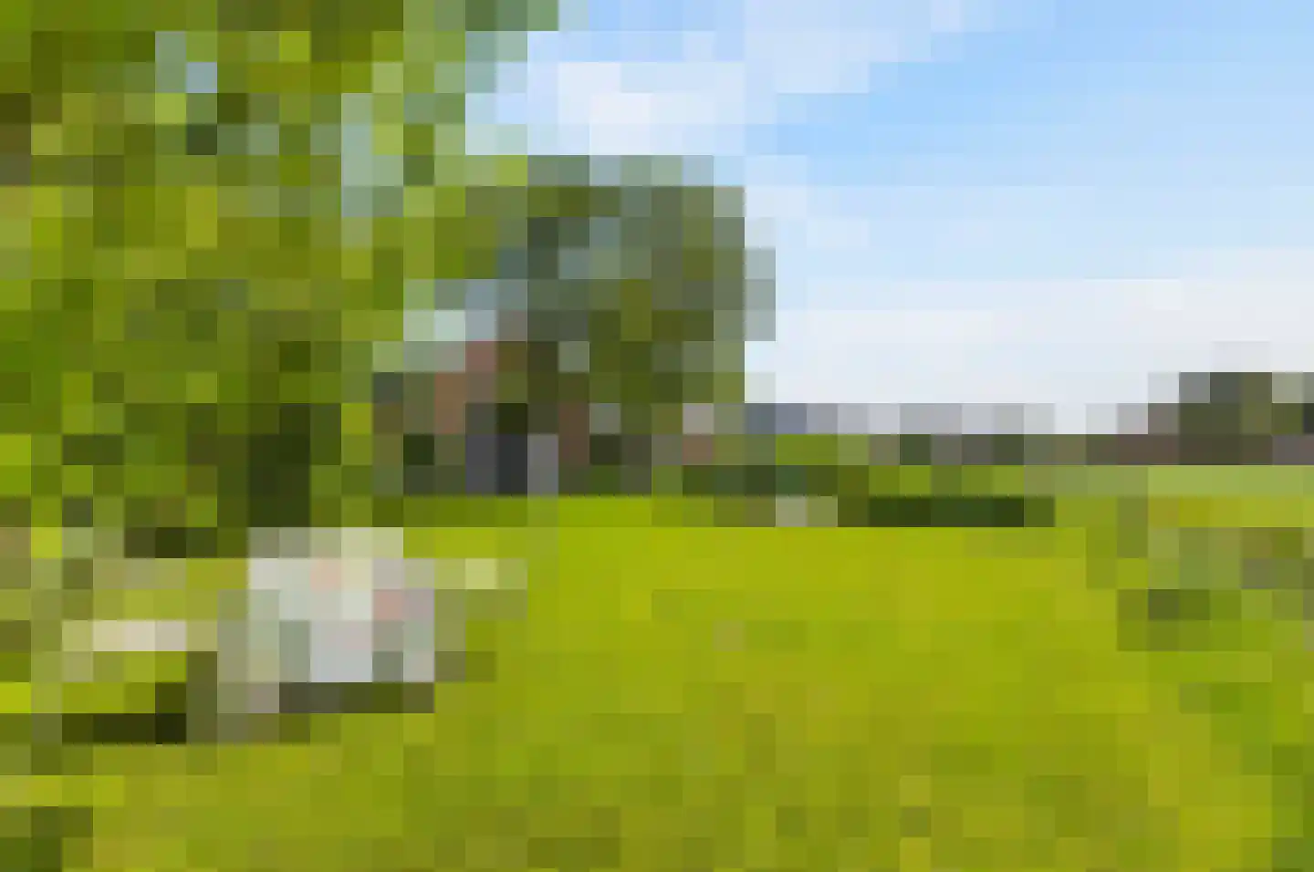 Reddingsboatreed 7 Moddergat thumbnail 36