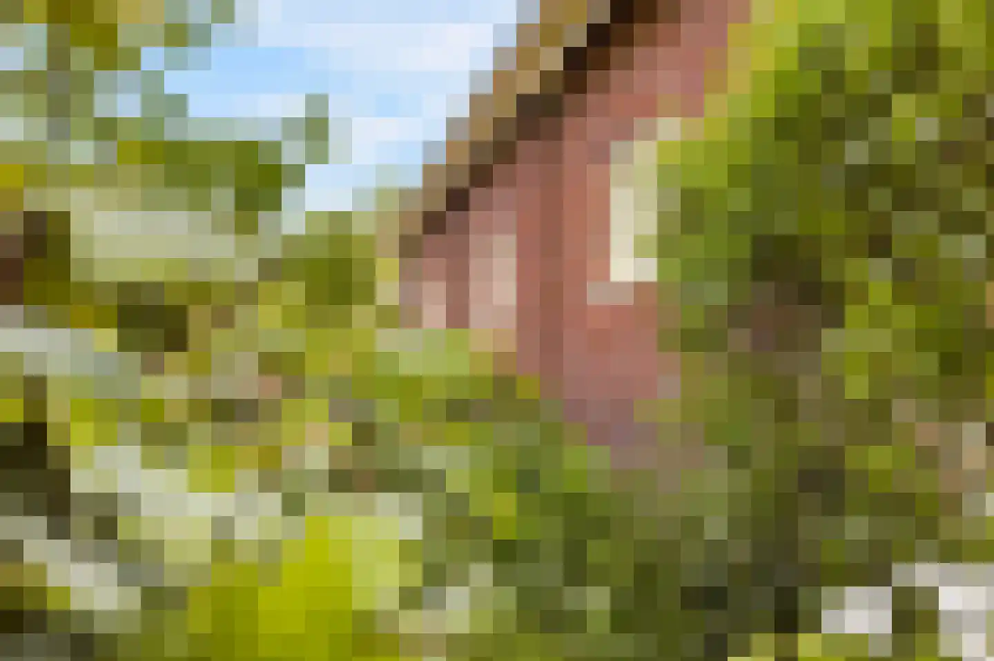 Reddingsboatreed 7 Moddergat thumbnail 38