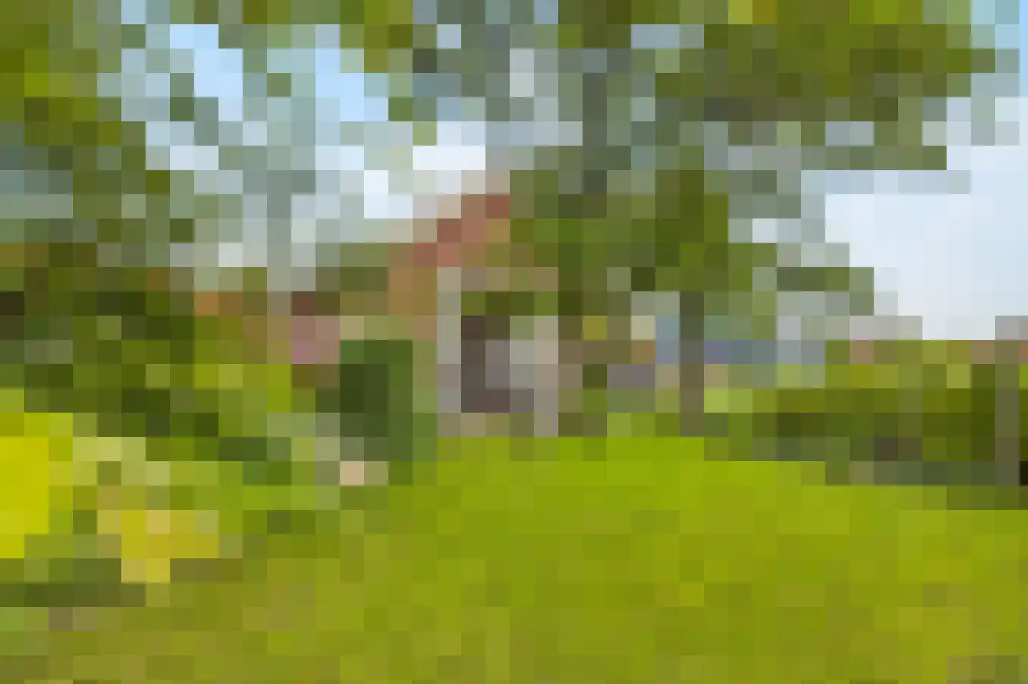 Reddingsboatreed 7 Moddergat thumbnail 4