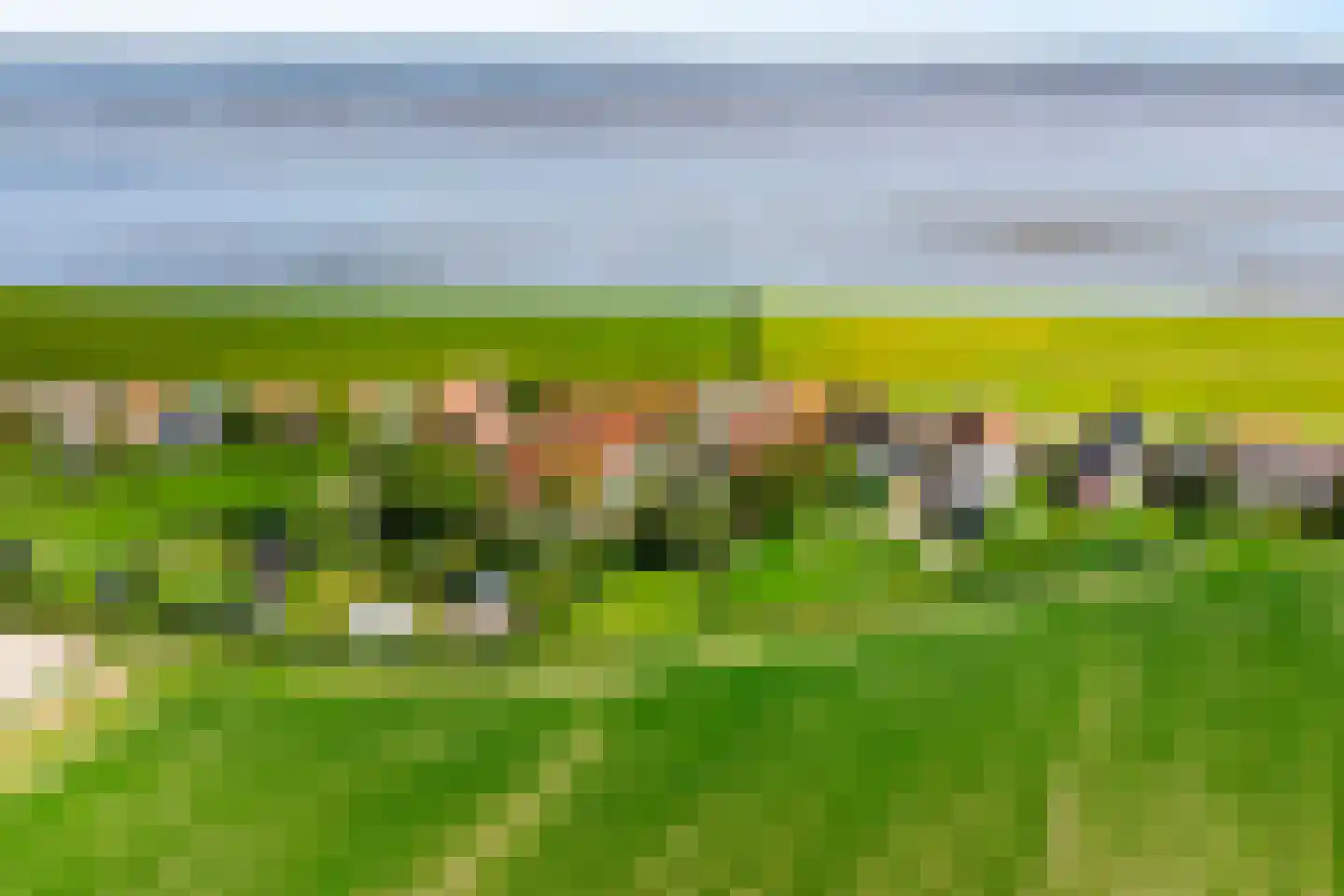 Reddingsboatreed 7 Moddergat thumbnail 6