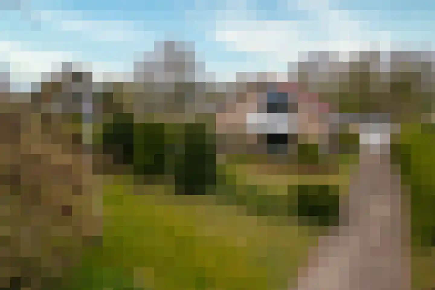 Reddingsweg 1 A Schiermonnikoog