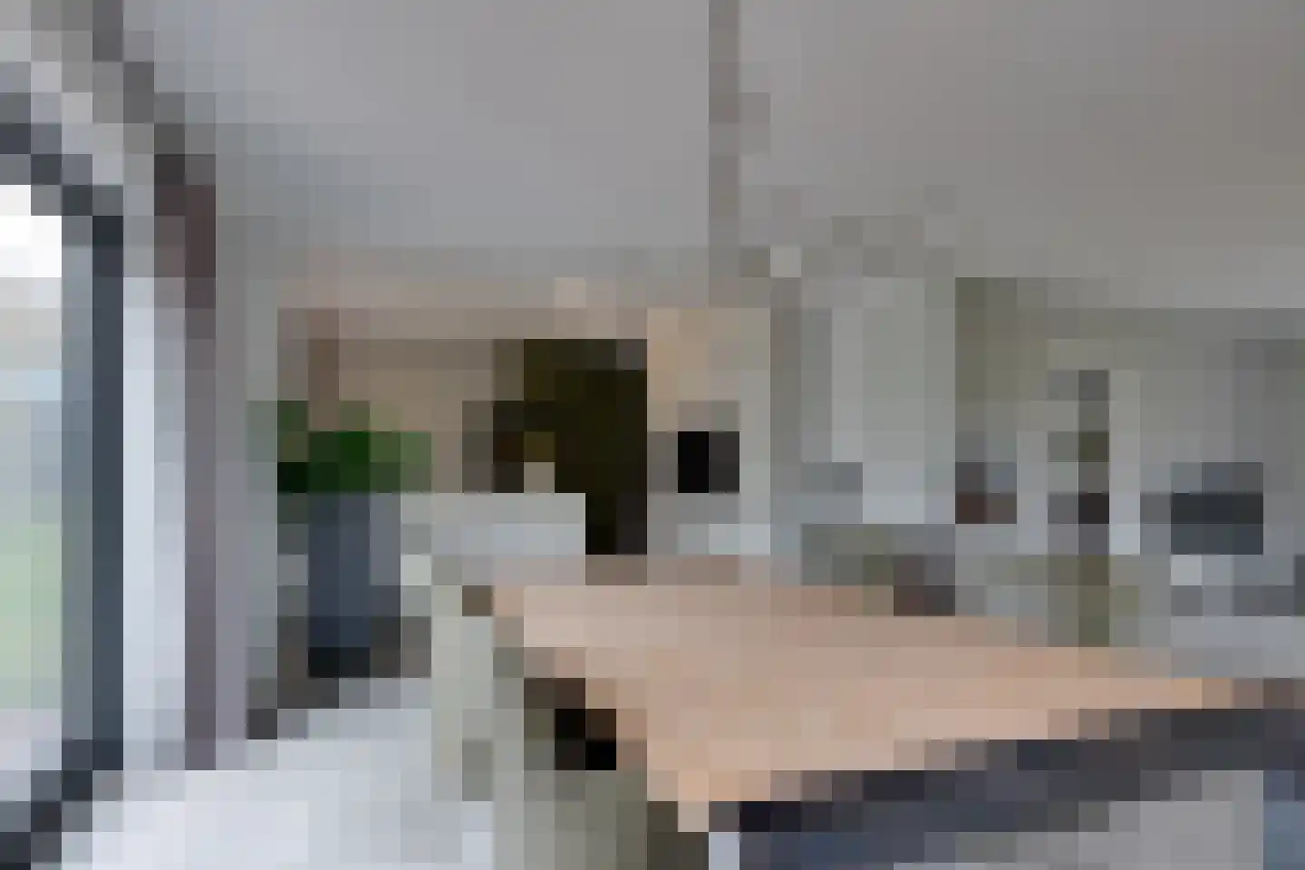Reddingsweg 1 A Schiermonnikoog thumbnail 10