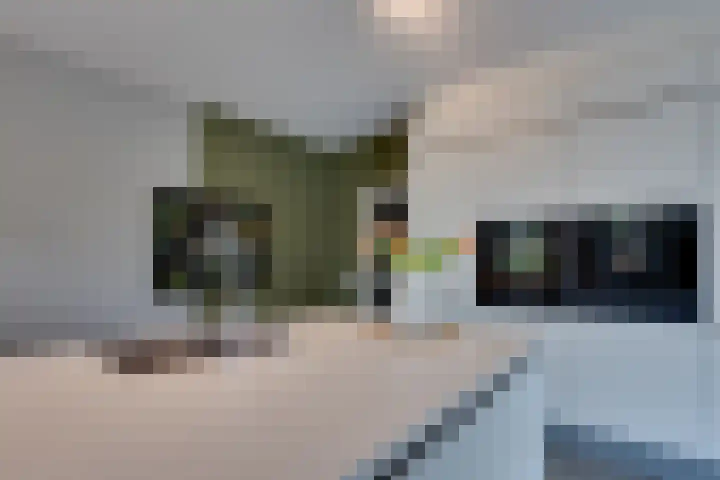 Reddingsweg 1 A Schiermonnikoog thumbnail 14