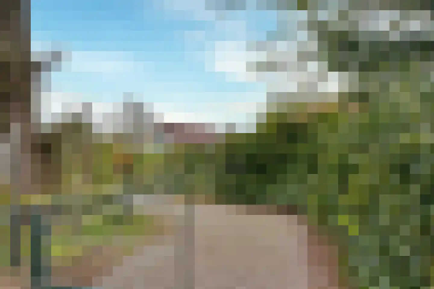 Reddingsweg 1 A Schiermonnikoog foto 2