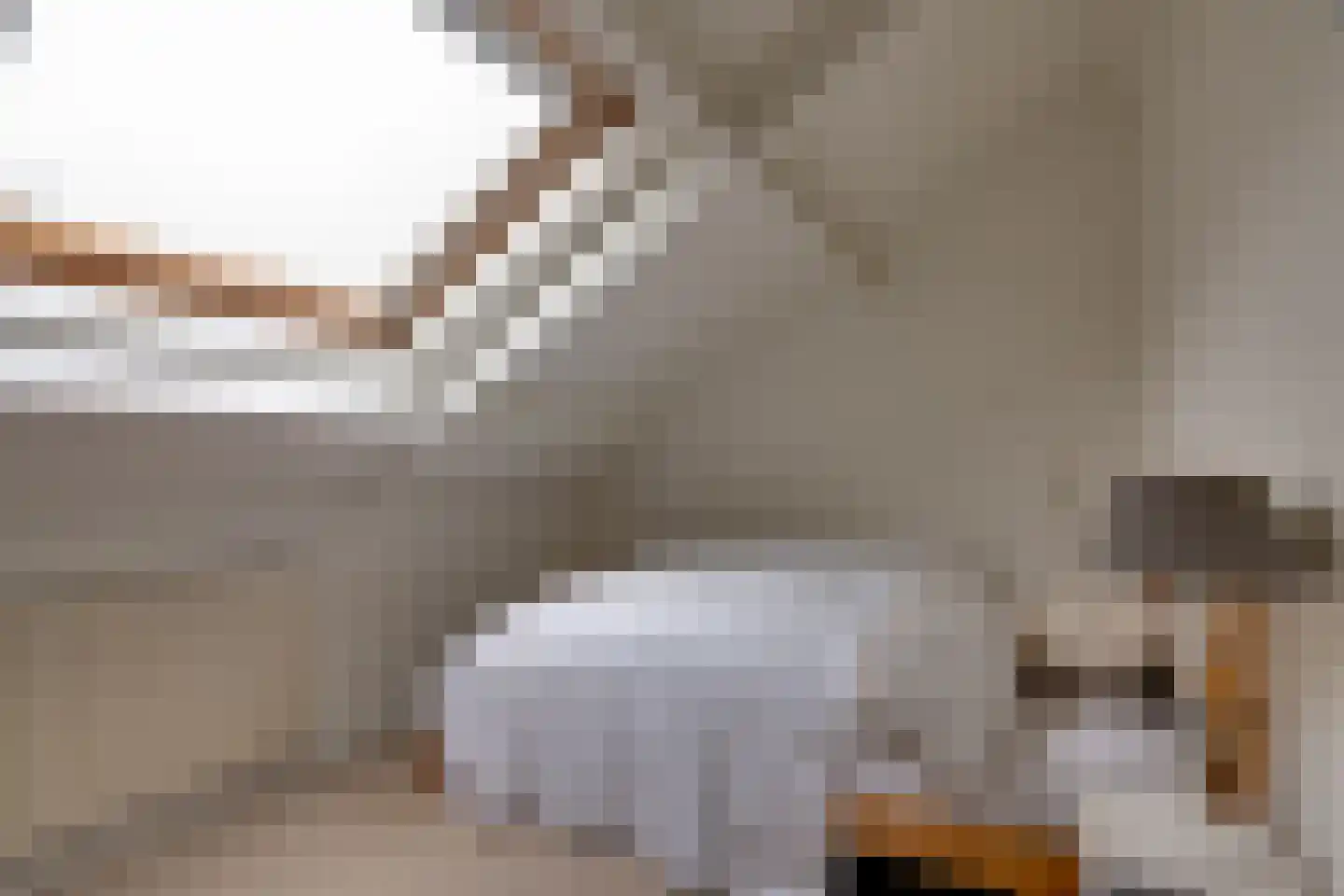 Reddingsweg 1 A Schiermonnikoog thumbnail 35