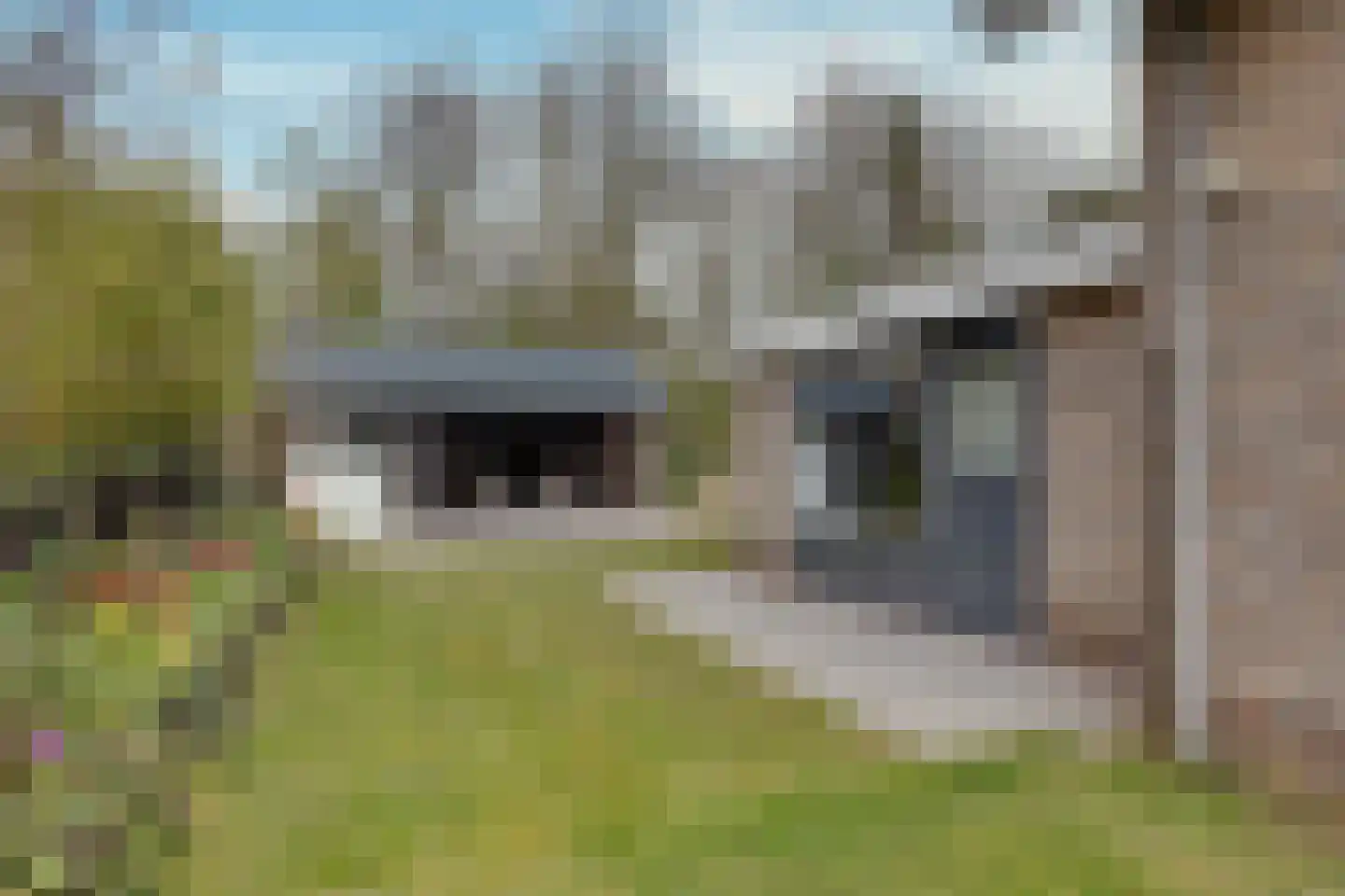 Reddingsweg 1 A Schiermonnikoog thumbnail 39