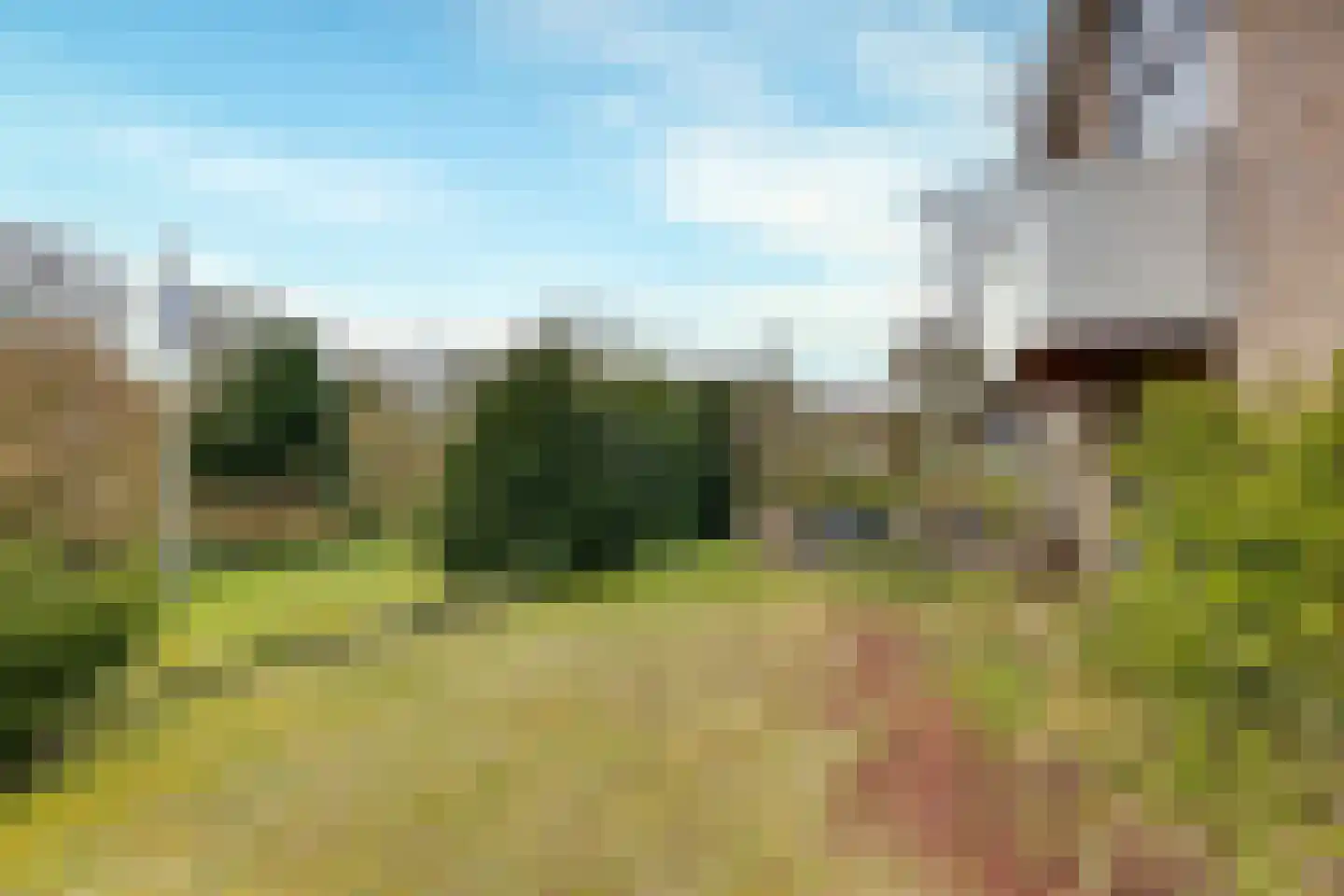 Reddingsweg 1 A Schiermonnikoog thumbnail 43