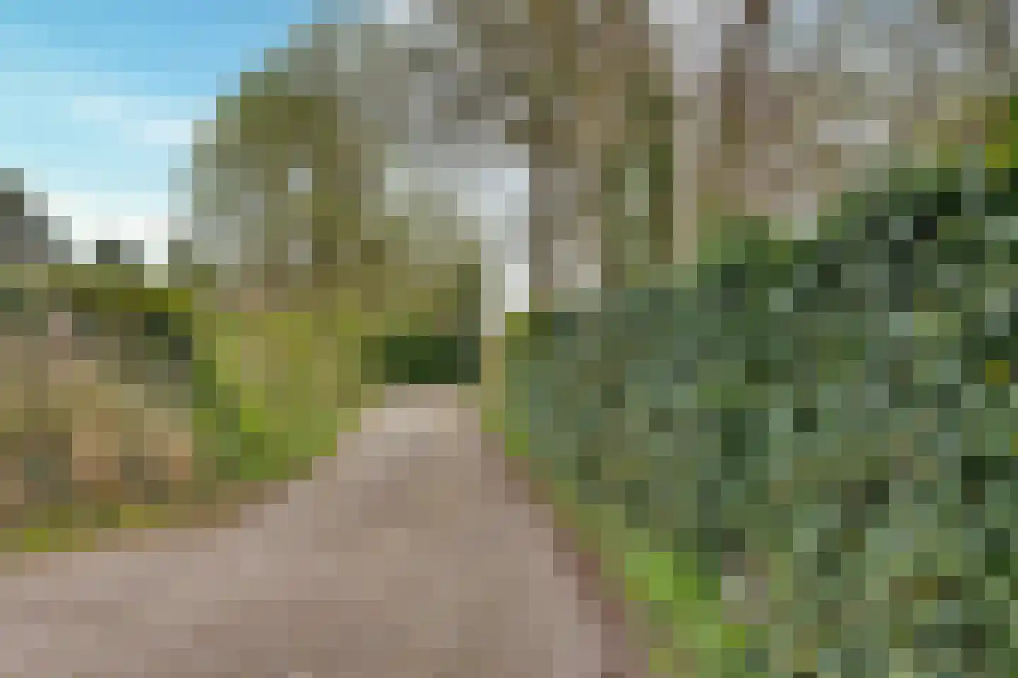 Reddingsweg 1 A Schiermonnikoog thumbnail 49