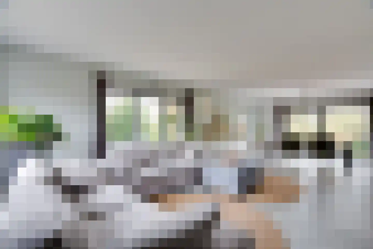 Reddingsweg 1 A Schiermonnikoog thumbnail 5