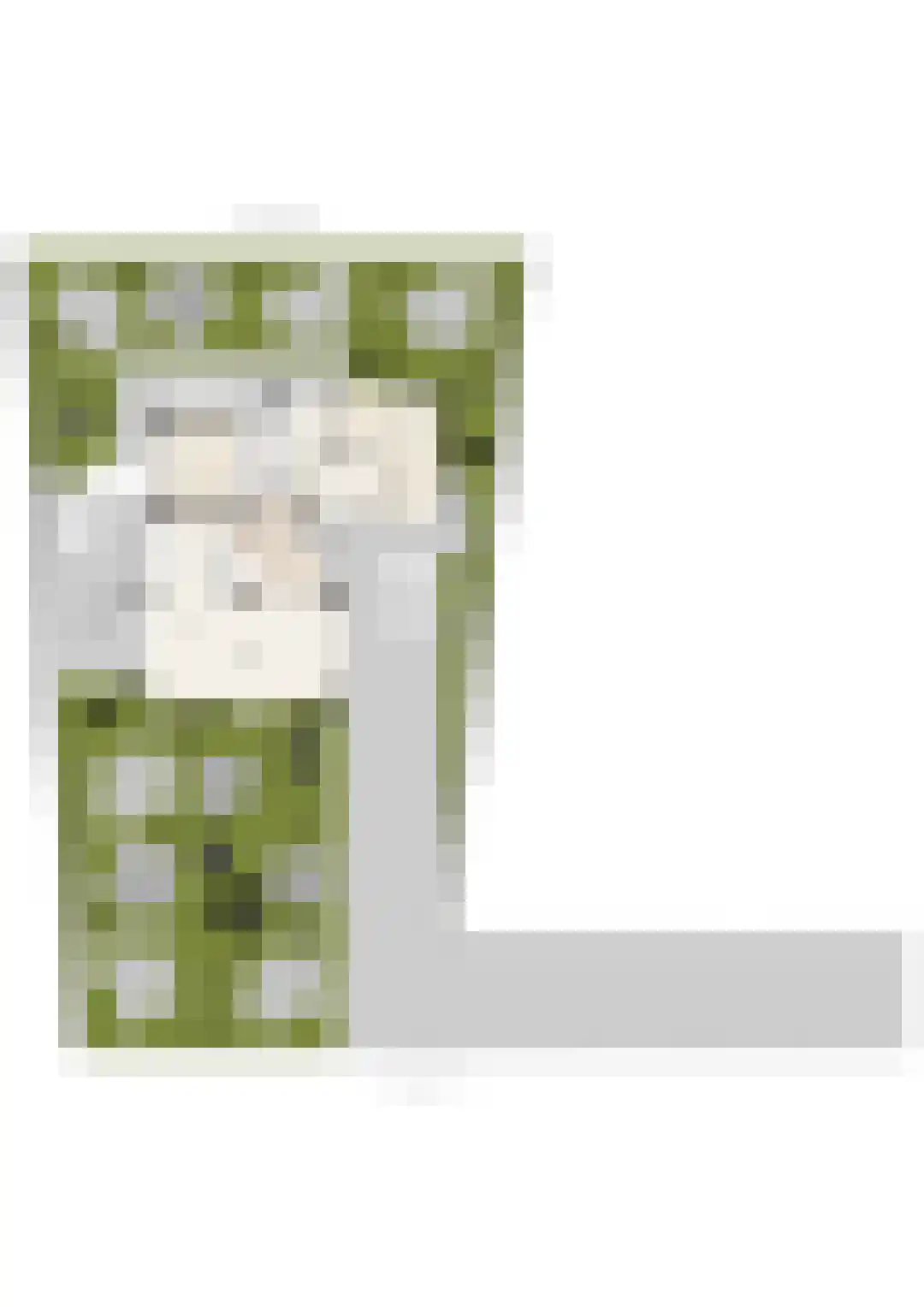 Reddingsweg 1 A Schiermonnikoog thumbnail 54