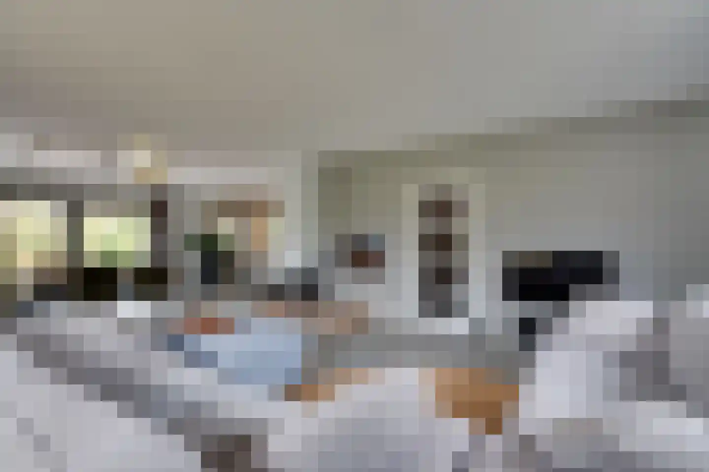 Reddingsweg 1 A Schiermonnikoog thumbnail 6
