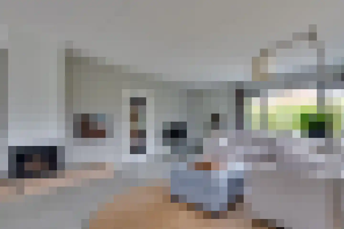 Reddingsweg 1 A Schiermonnikoog thumbnail 7