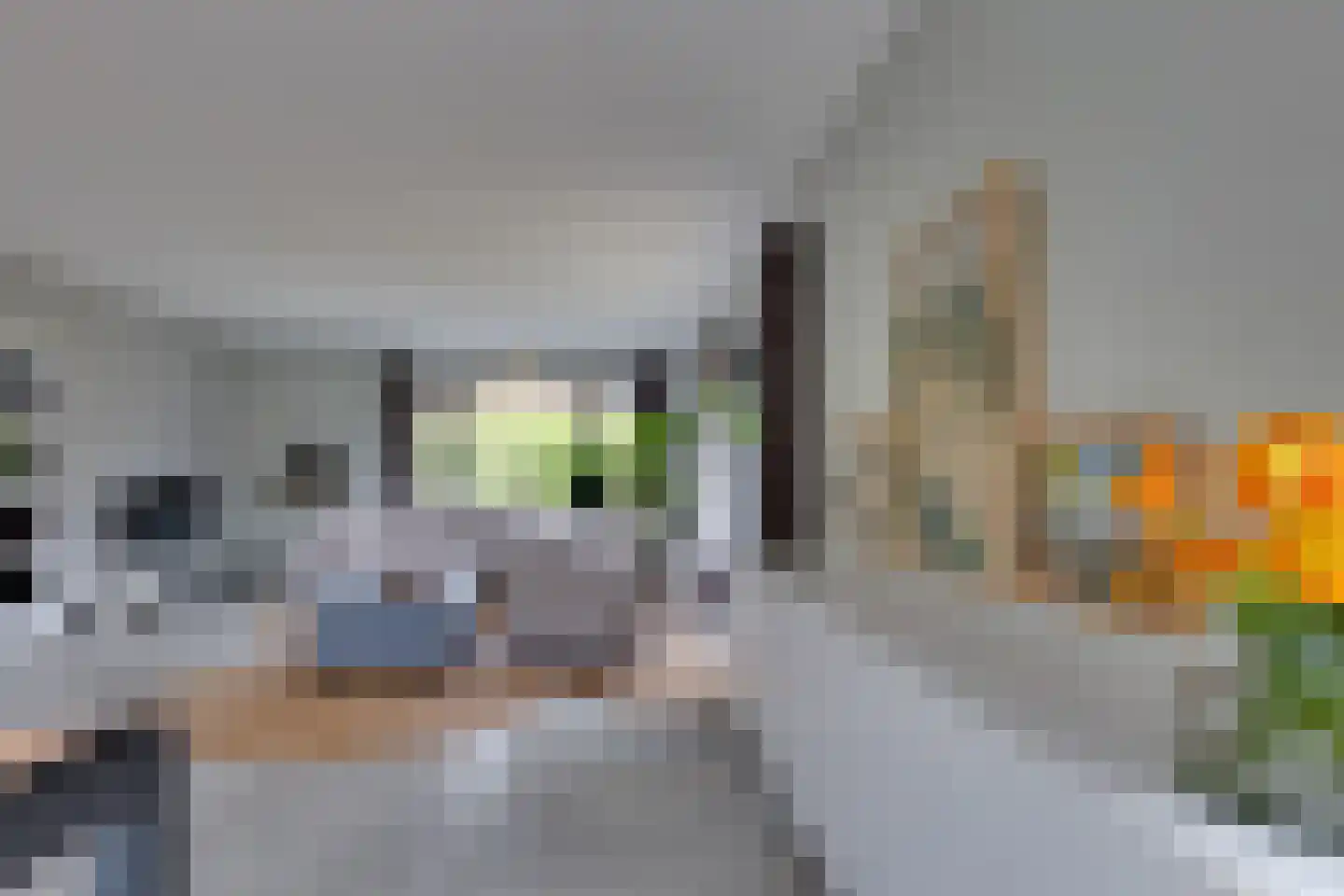 Reddingsweg 1 A Schiermonnikoog thumbnail 8