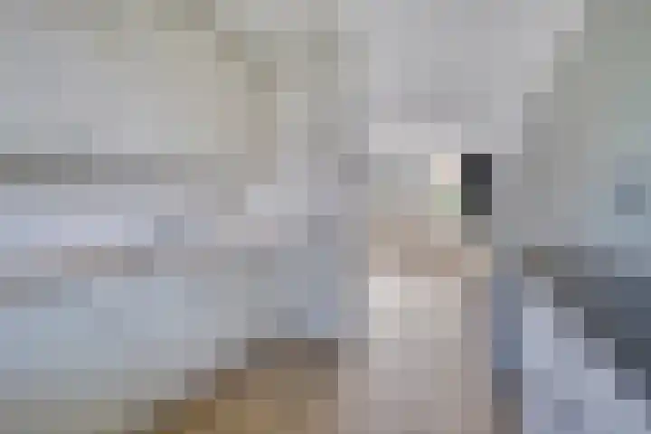 Redelaan 30 Zoetermeer thumbnail 11