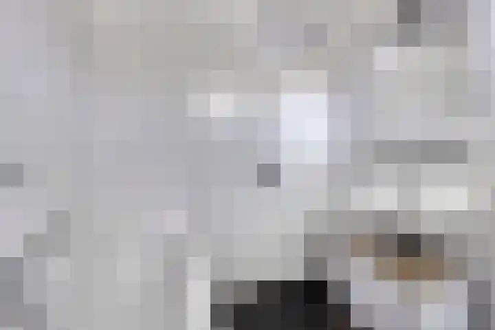 Redelaan 30 Zoetermeer thumbnail 16