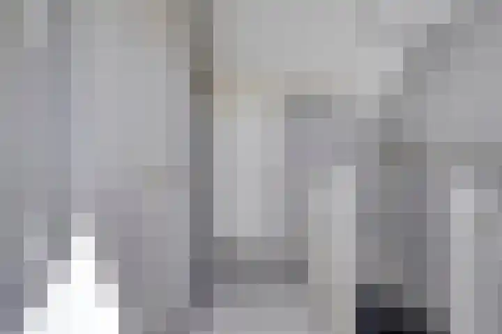 Redelaan 30 Zoetermeer thumbnail 20