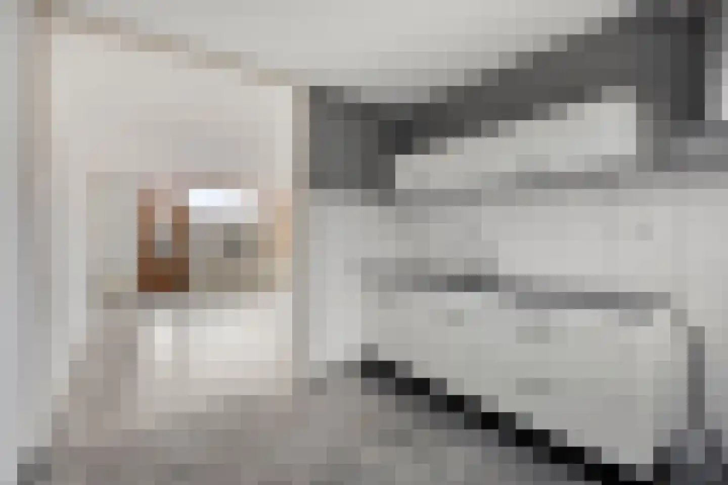 Redelaan 32 Zoetermeer thumbnail 14