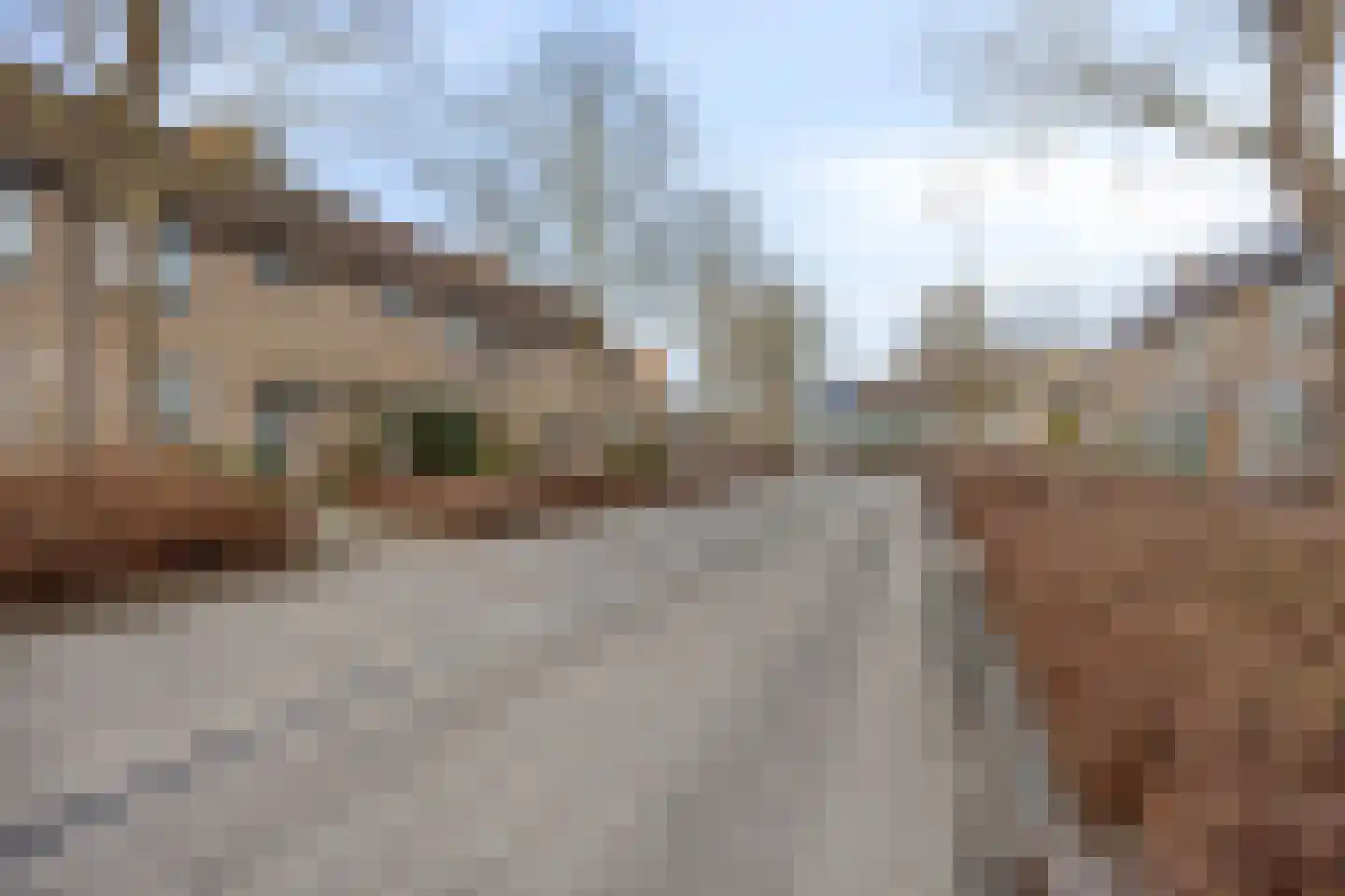 Redelaan 32 Zoetermeer thumbnail 4