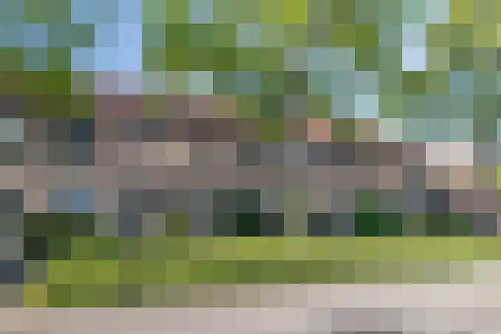 Redelaan 34 Zoetermeer