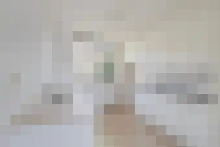 Redelaan 34 Zoetermeer thumbnail 12