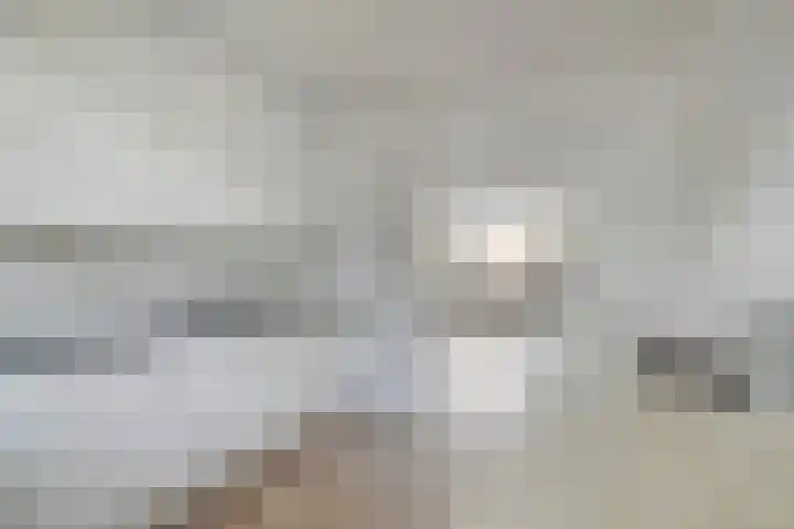 Redelaan 34 Zoetermeer thumbnail 13