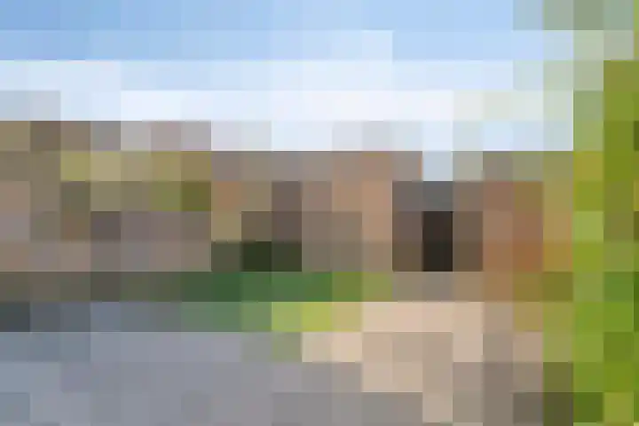 Redelaan 34 Zoetermeer thumbnail 27