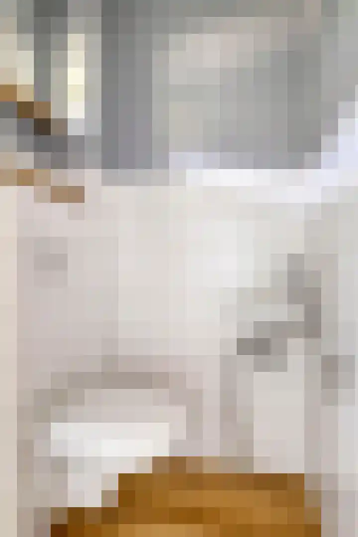Redelaan 34 Zoetermeer thumbnail 5