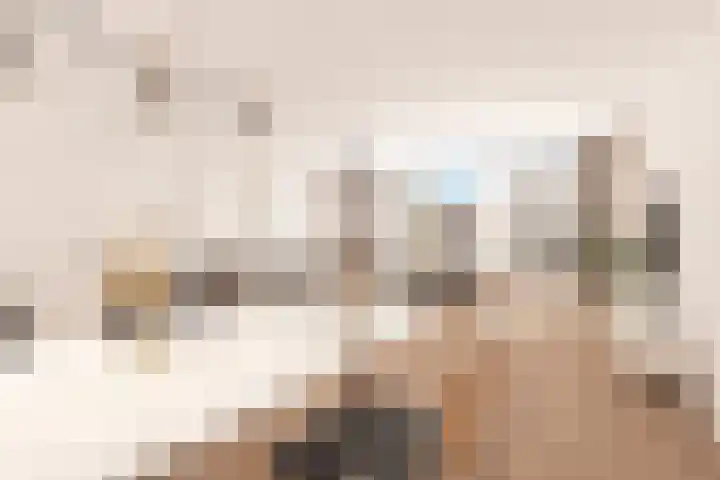 Redelaan 34 Zoetermeer thumbnail 8