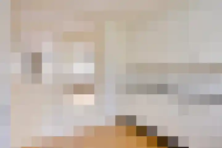 Redelaan 4 Zoetermeer thumbnail 12