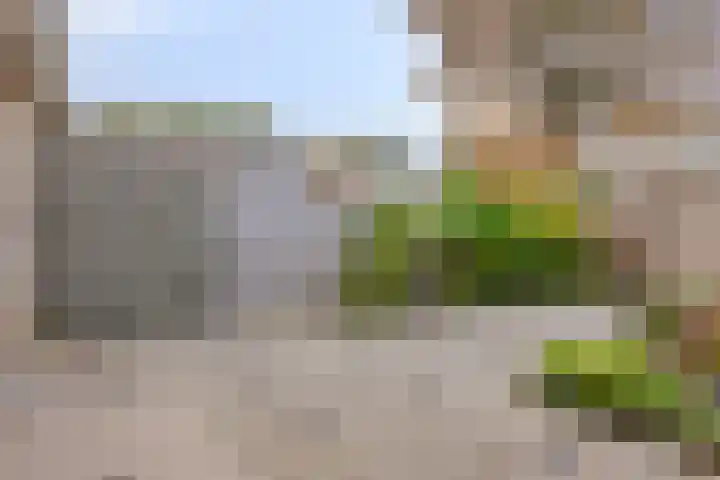 Redelaan 4 Zoetermeer thumbnail 25
