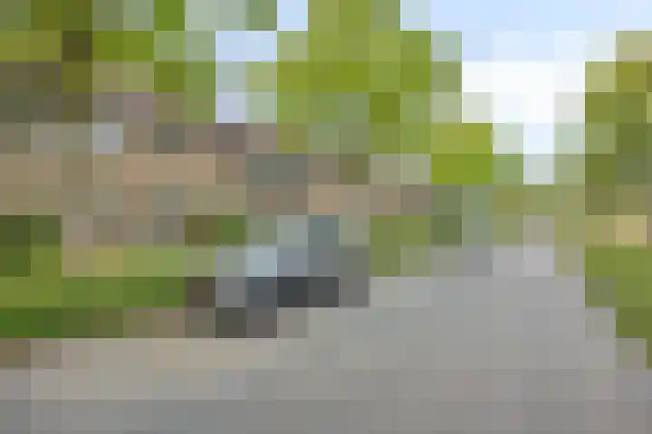 Redelaan 4 Zoetermeer foto 3