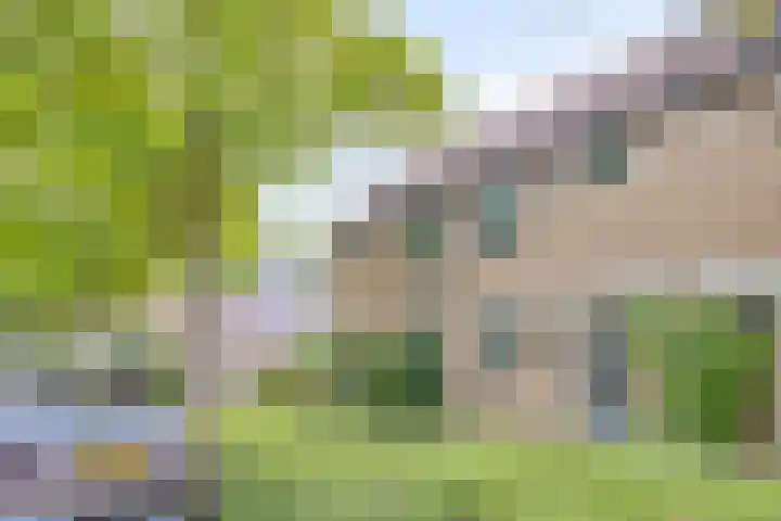 Redelaan 4 Zoetermeer thumbnail 4