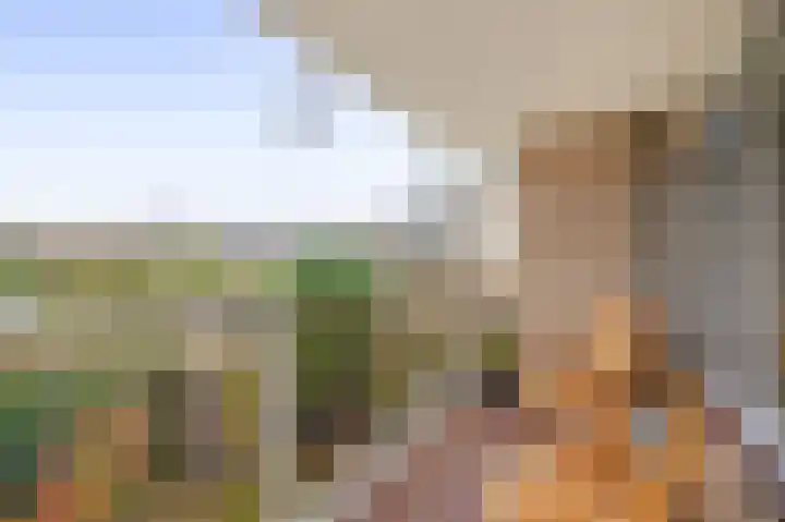 Redelaan 66 Zoetermeer thumbnail 25