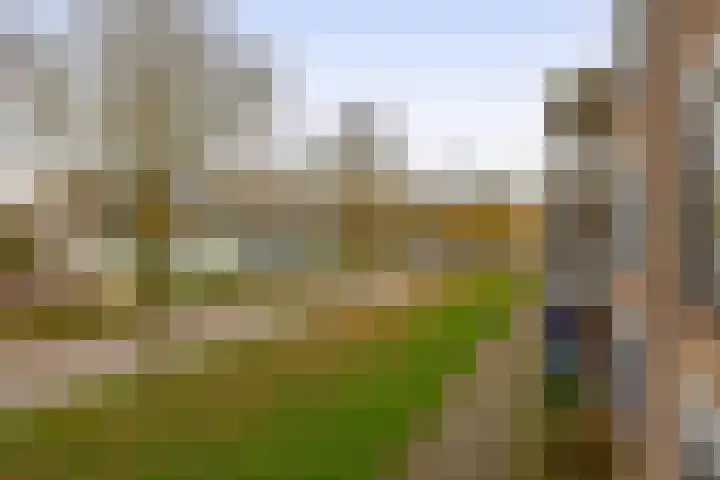 Redelaan 66 Zoetermeer thumbnail 32