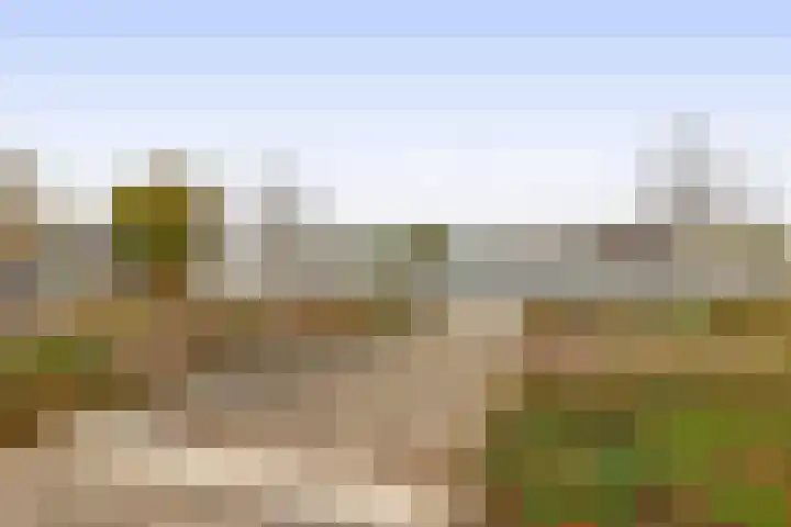 Redelaan 66 Zoetermeer thumbnail 7
