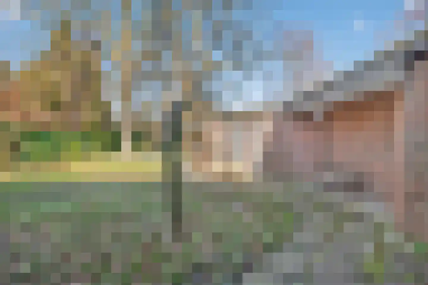 Redemark 2 Almere thumbnail 34