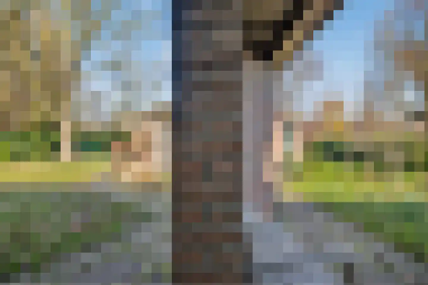 Redemark 2 Almere thumbnail 36
