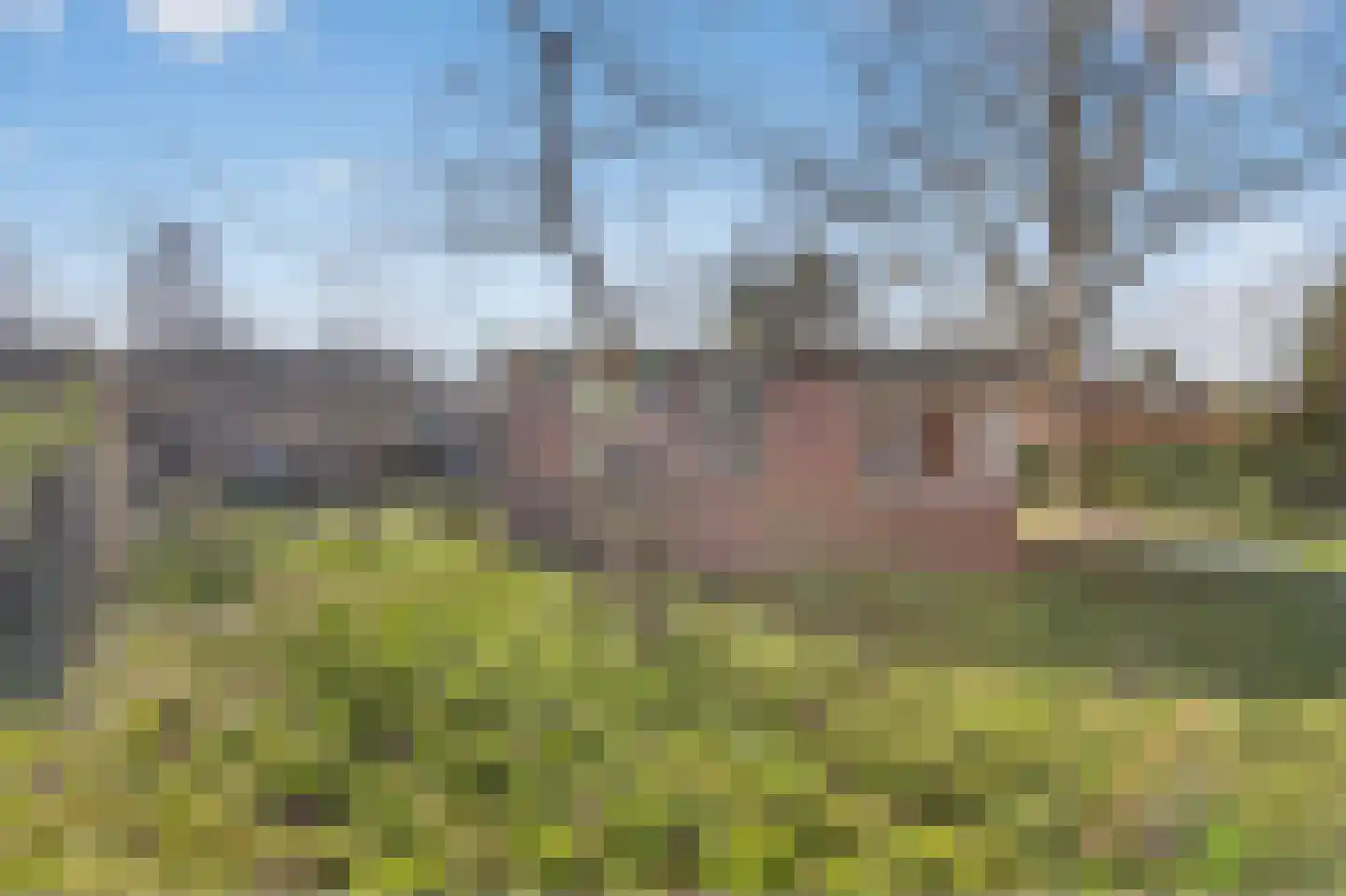 Redemark 2 Almere thumbnail 38